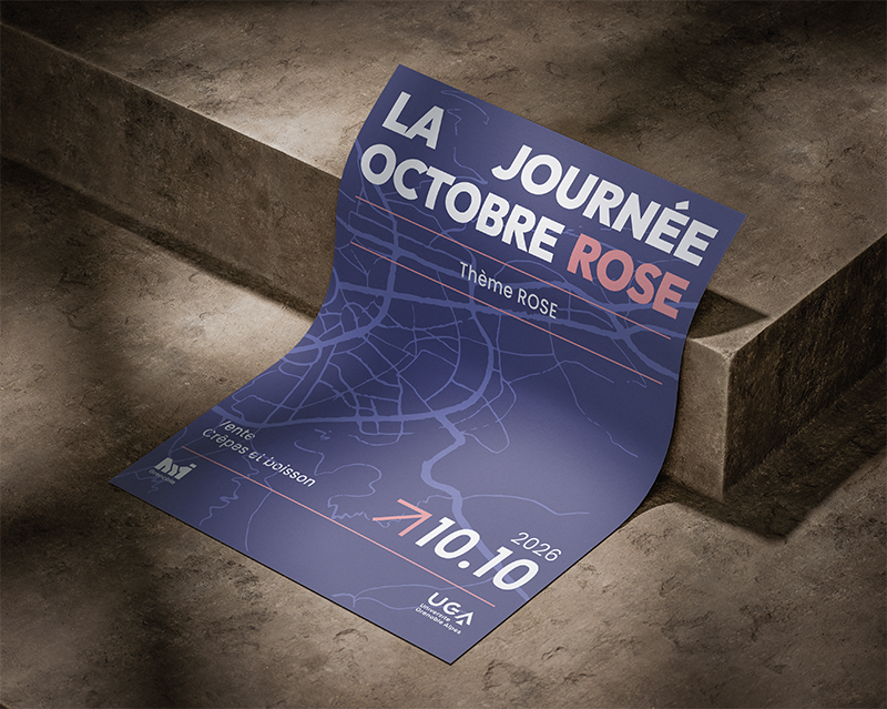Déclinaison graphique MMI Grenoble 3